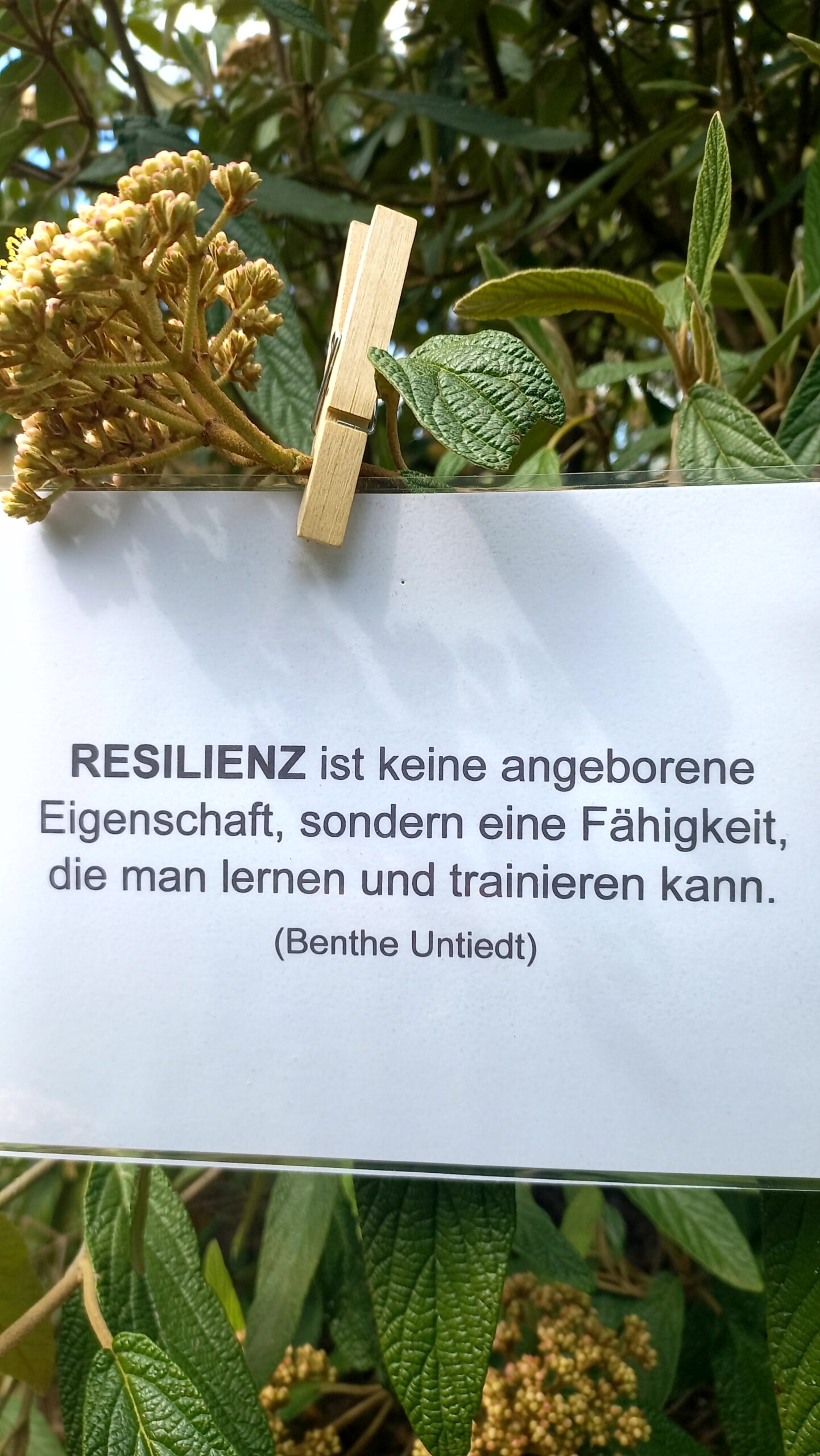 Menschlich.Möglich. Resilienz Training 2