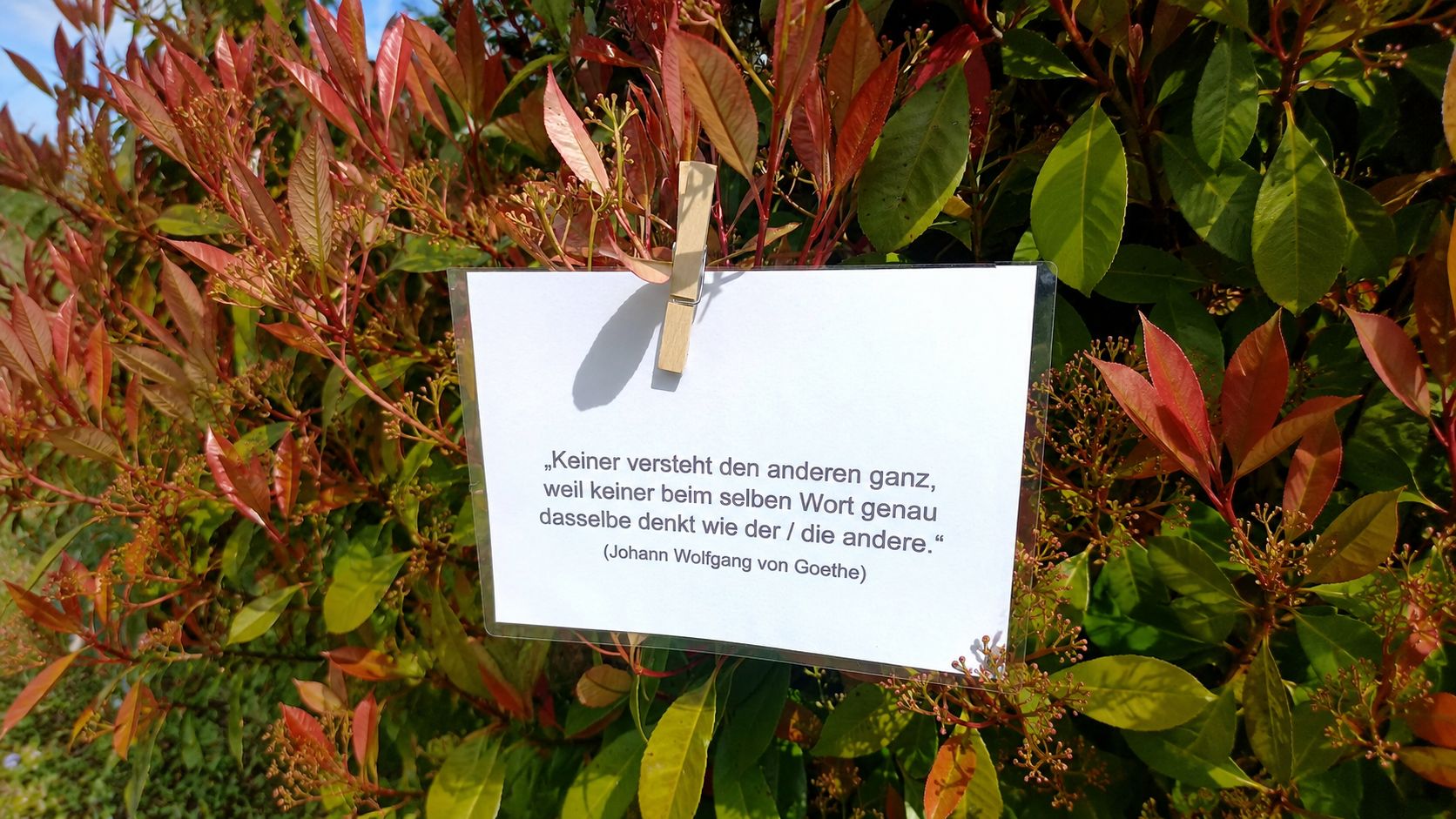 Stefanie Kath-Müller – Menschlich.Möglich für Unternehmen (2)